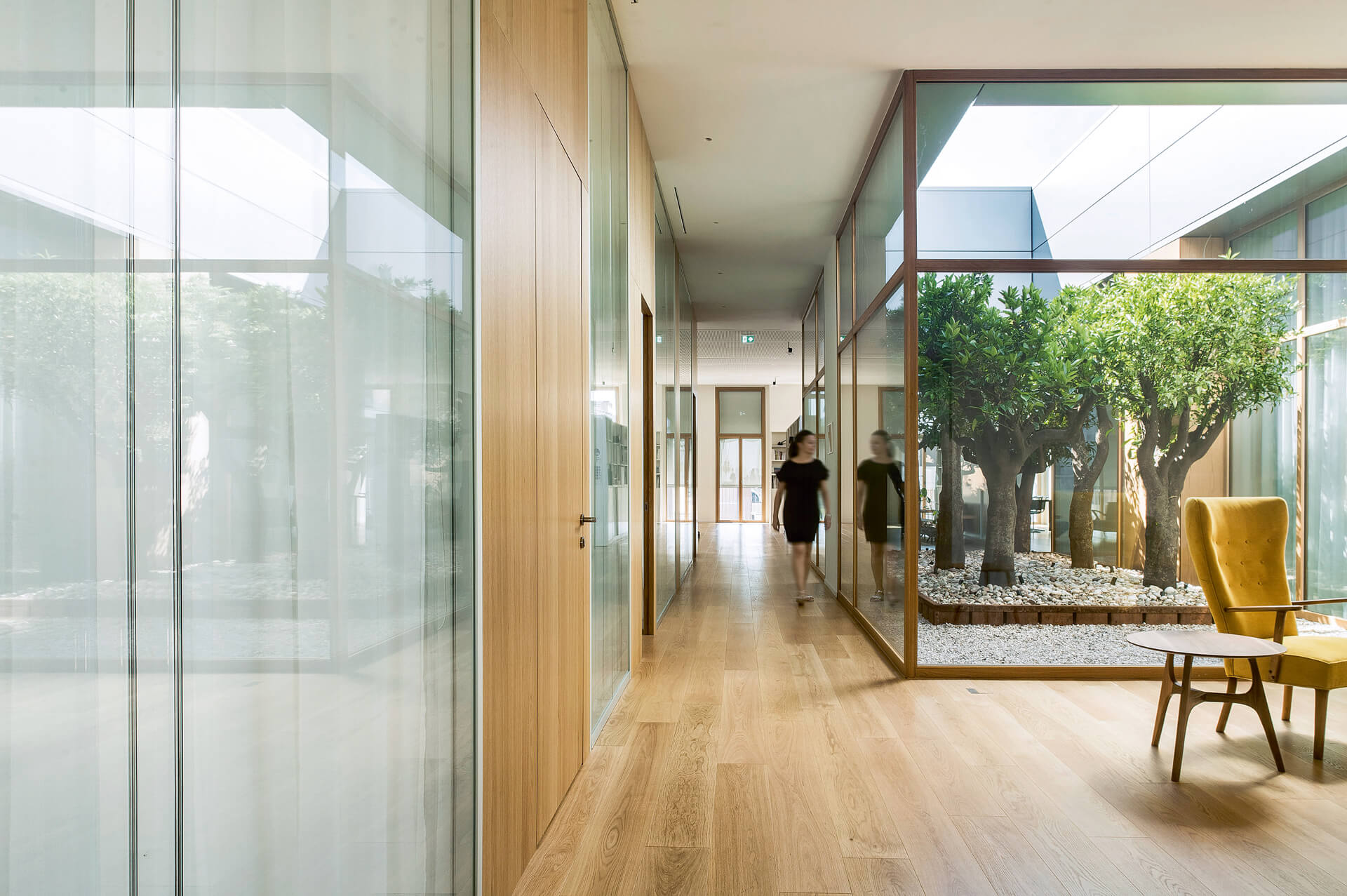 FOPE parete divisoria Double corridoio parete vetrata a vetro doppio extra clear e parete cieca con finitura oak profilo in alluminio portale cieco tamburato